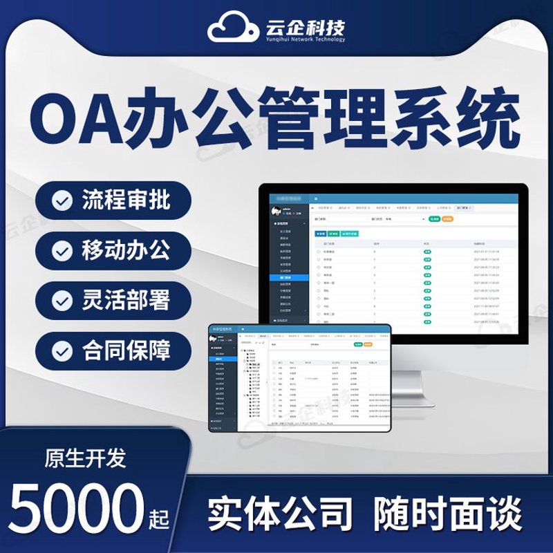 高州软件开发：推动区域特色产业转型升级
