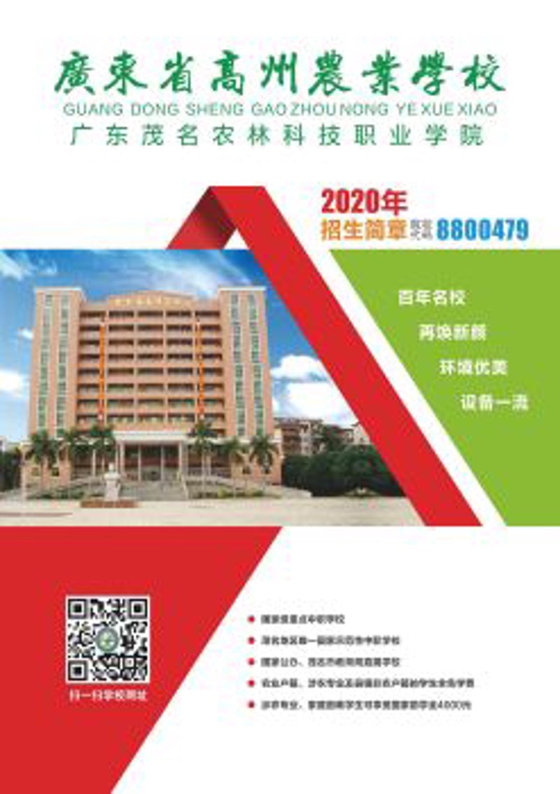高州软件开发